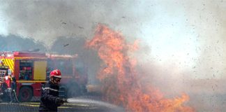 Feux de récoltes: Lancement d’une campagne de prévention dans plusieurs wilayas du sud