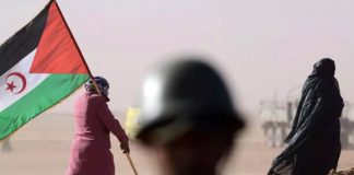 Sahara Occidental: L’Algérie regrette la confirmation de la position américaine