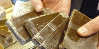 Oran: Démantèlement de trois réseaux criminels de trafic de drogue