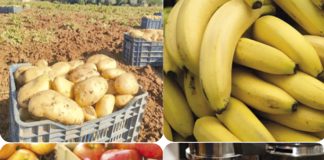 Commerce: Les prix de la viande, des pommes, des bananes, des pommes de terre et du café plafonnés