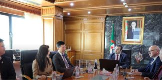 Fabrication de panneaux solaires: Le groupe chinois LONGI veut investir en Algérie