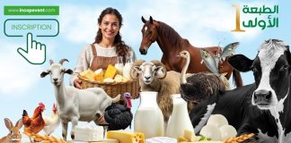 Plus de 140 millions de litres de lait produits chaque année à Tizi Ouzou: La 1ère édition du Salon “Tizi-Agri-Expo” consacrée à l’élevage et aux produits laitiers du 6 au 10 mai