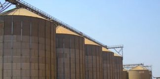 Khenchela: 4 centres de proximité pour le stockage des céréales prochainement mis en service