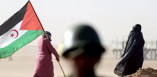 Démolition d’habitations à Laâyoune occupée: La communauté internationale appelée à protéger le peuple sahraoui