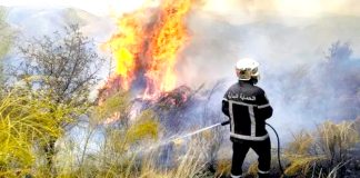 Constantine: Mise en place du plan anti-feux de l’été 2025