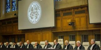 CIJ : 40 États plaident sur les obligations humanitaires de l’entité sioniste dans les territoires palestiniens occupés