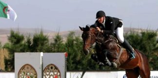 Equitation: Un stage de formation au profit d’une quinzaine de chefs de piste de saut d’obstacles les 16 et 17 mai à Alger