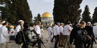 Palestine: Des dizaines de colons sionistes envahissent l’esplanade d’Al-Aqsa