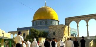 Palestine: Des dizaines de colons sionistes prennent d’assaut l’esplanade d’Al-Aqsa