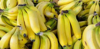 Tlemcen: Saisie de 400 kg de bananes et deux personnes arrêtées