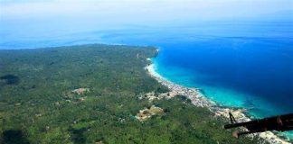 Japon : un avion militaire s’écrase avec deux personnes à bord