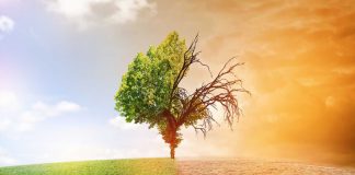 Oran: Colloque international sur le changement climatique et ses impacts