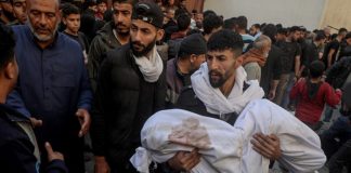 Génocide sioniste à Ghaza: 98 martyrs palestiniens enregistrés chaque jour depuis le 12 mai