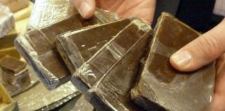 Béni Abbès: Saisie de 37 kg de kif traité en provenance du Maroc