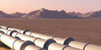 Face aux nouvelles filières mondiales: La problématique de la gestion des projets en Algérie