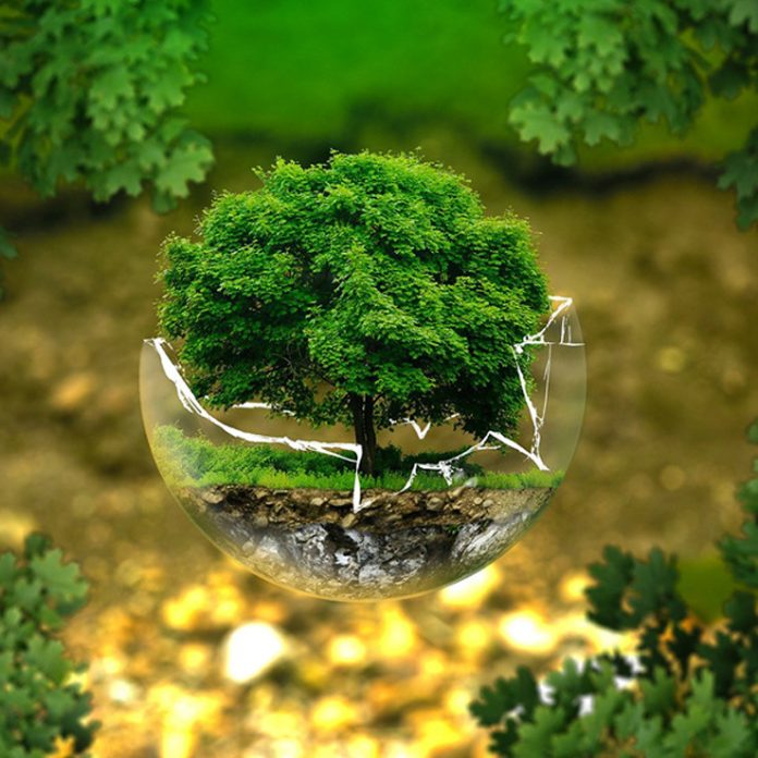 p 6 1 Economie circulaire