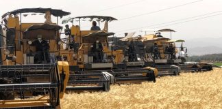 Chlef: Rencontre régionale pour préparer la campagne moisson-battage