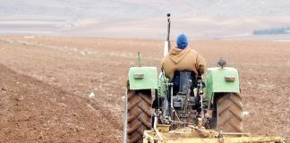Blida: Près de 9.000 agriculteurs bénéficiaires de contrats de concession depuis 2010