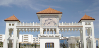 Université Ferhat-Abbas de Sétif: Trois chercheurs algériens obtiennent un “brevet ”dans le domaine de la dosimétrie luminescente