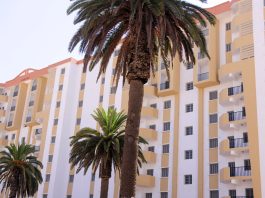 Bechar: Attribution de 69 logements publics locatifs à Lahmar et Taghit