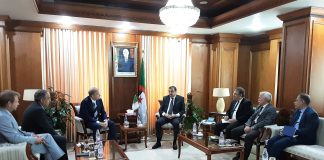 Le groupe Sarens veut renforcer ses investissements en Algérie: Des projets dans les hydrocarbures, l’électricité et les énergies renouvelables à l’étude