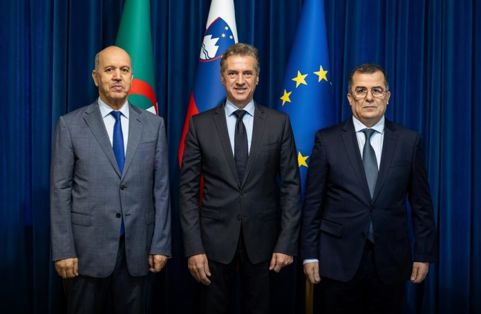 p 4 3 Algérie - Slovénie