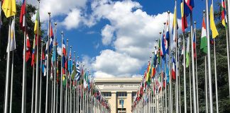 113é session de la Conférence internationale du Travail: L’Algérie préside la Commission de l’application des normes internationales du travail