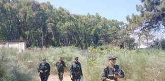 Jijel: Les pistes forestières aménagées