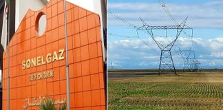 Illizi: 177 exploitations agricoles raccordées au réseau d’électrification depuis 2024