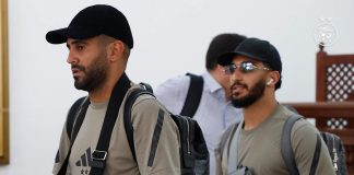 EN: Les Verts à l’heure suédoise