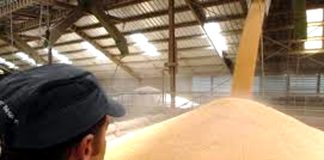 Mascara: Réception prochaine du premier Centre de stockage de céréales à Aïn Fekan