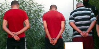 El Tarf: Démantèlement d’un réseau de falsification de monnaies nationales et étrangères