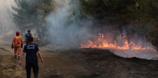 La Turquie confrontée à des incendies de forêt en série