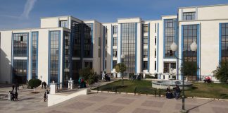 Université de Mascara: Sortie de plus de 5.500 étudiants diplômés