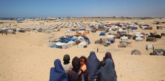 Palestine: L’onu critique le transfert forcé de la population de Ghaza et affirme qu’il est inacceptable