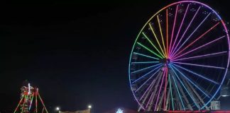 Commémoration du 63e anniversaire de l’indépendance à Oran: Les femmes à l’honneur dans l’histoire et la littérature algériennes