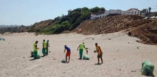 Campagne de ramassage des algues sur les plages: Large participation dans les wilayas côtières du centre