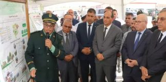 Crédit sans intérêts pour les petits agriculteurs: Le ministre de l’Agriculture annonce des prêts jusqu’à 150 millions DA pour la réalisation de chambres froides