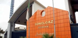 720 pannes réparées et l’électricité rétablie pour 1,8 million d’abonnés: Sonelgaz mobilisée en moins de 30 minutes en moyenne