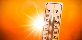 Canicule prévue jeudi et vendredi dans les wilayas de Relizane et Chlef