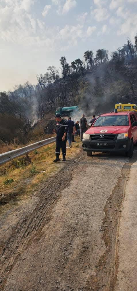 FEUX DE FORETE BEJAIA 1