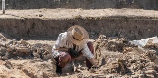 Un fossile de mammifère du temps des dinosaures découvert au Chili