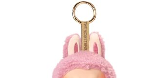 Près de 400 % de hausse des profits pour Pop Mart, grâce au phénomène Labubu