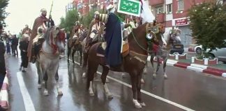 Le salon national du cheval de retour: Tiaret hôte de la manifestation, prévue du 11 au 13 septembre
