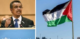 Le projet de l’entité sioniste d’occuper Ghaza met davantage d’enfants en danger