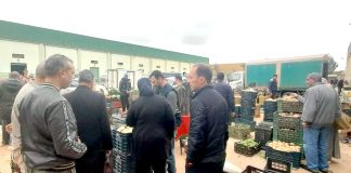 Oran: Projet de numérisation du recouvrement fiscal au marché de gros des fruits et légumes