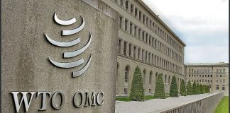 L’OMC revoit à la hausse sa prévision du commerce mondial en 2025