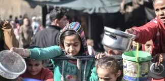 Palestine: Un million de femmes et de filles menacées de famine à Ghaza, déclare l’UNRWA