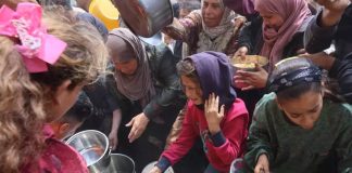 ONU: 1500 Palestiniens tombés en martyrs en tentant d’obtenir de la nourriture à Ghaza