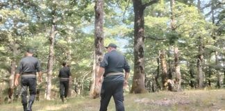 Feux de forêt: La diminution relative des superficies touchées confirme l’efficacité des mesures prises